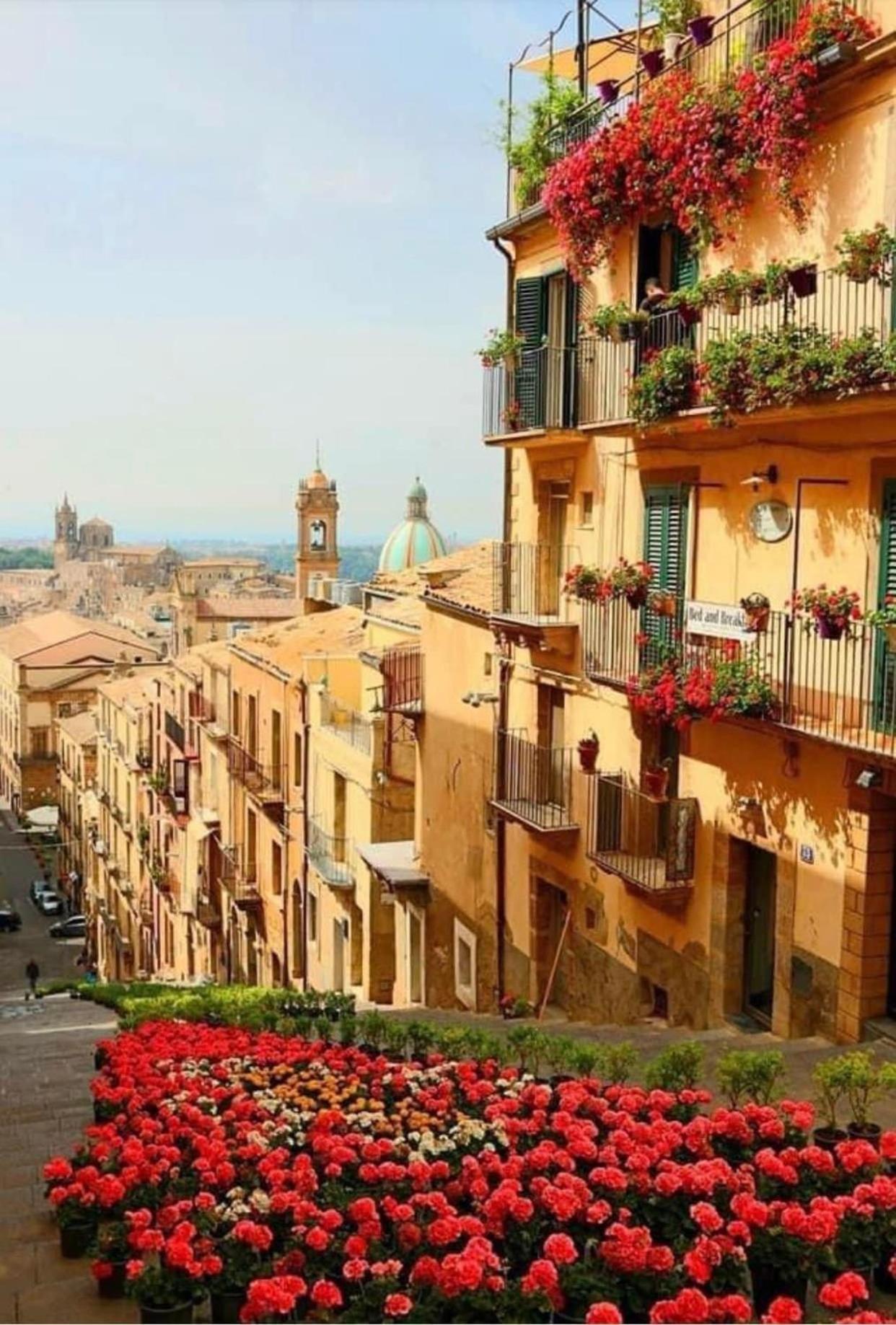 Casa Tipica Siciliana Patronale Home Bedandbreakfast Tremetrisoprailcielo Camere Con Vista, Colazione Interna In Terrazzo Panoramico 칼타기론 외부 사진
