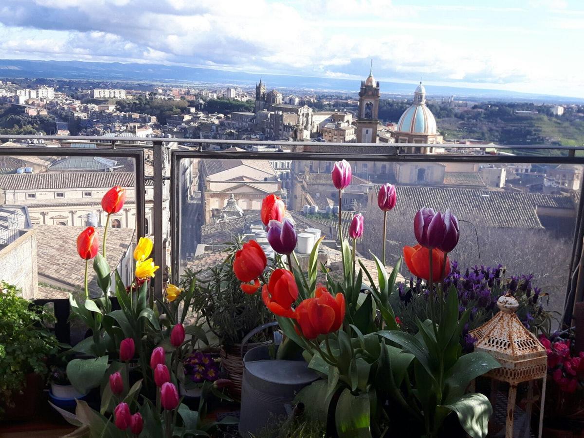 Casa Tipica Siciliana Patronale Home Bedandbreakfast Tremetrisoprailcielo Camere Con Vista, Colazione Interna In Terrazzo Panoramico 칼타기론 외부 사진