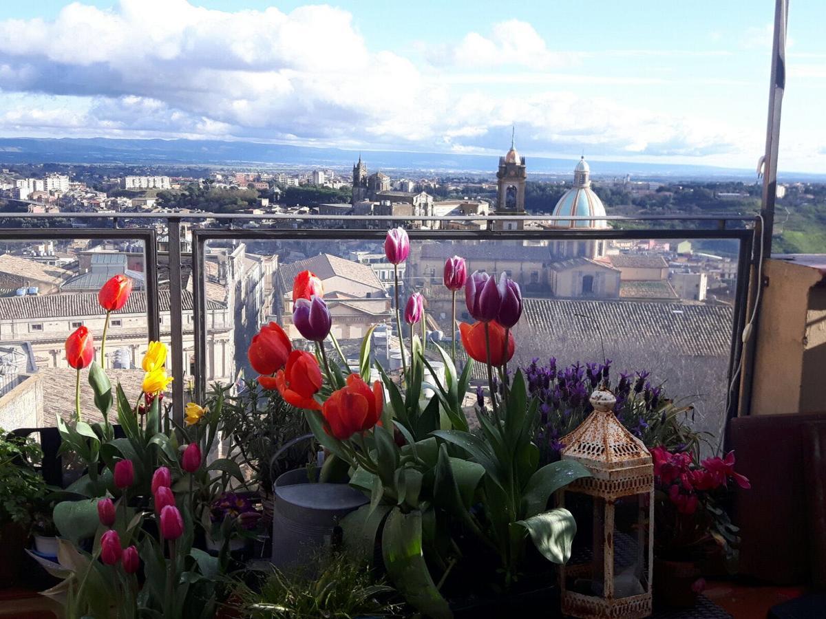 Casa Tipica Siciliana Patronale Home Bedandbreakfast Tremetrisoprailcielo Camere Con Vista, Colazione Interna In Terrazzo Panoramico 칼타기론 외부 사진